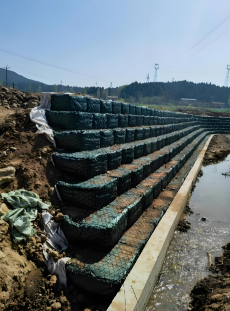 Últimos blogs de la empresa sobre Gabion Mesh Technology Strengthens Riverbank Protection and Flood Control Projects